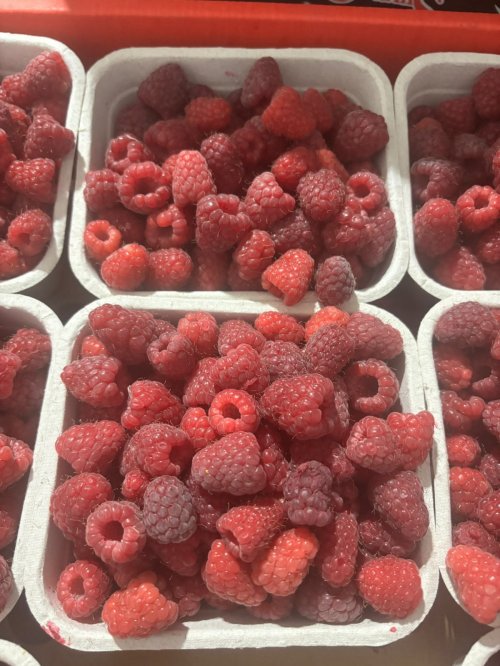 RASPBERRIES PINT